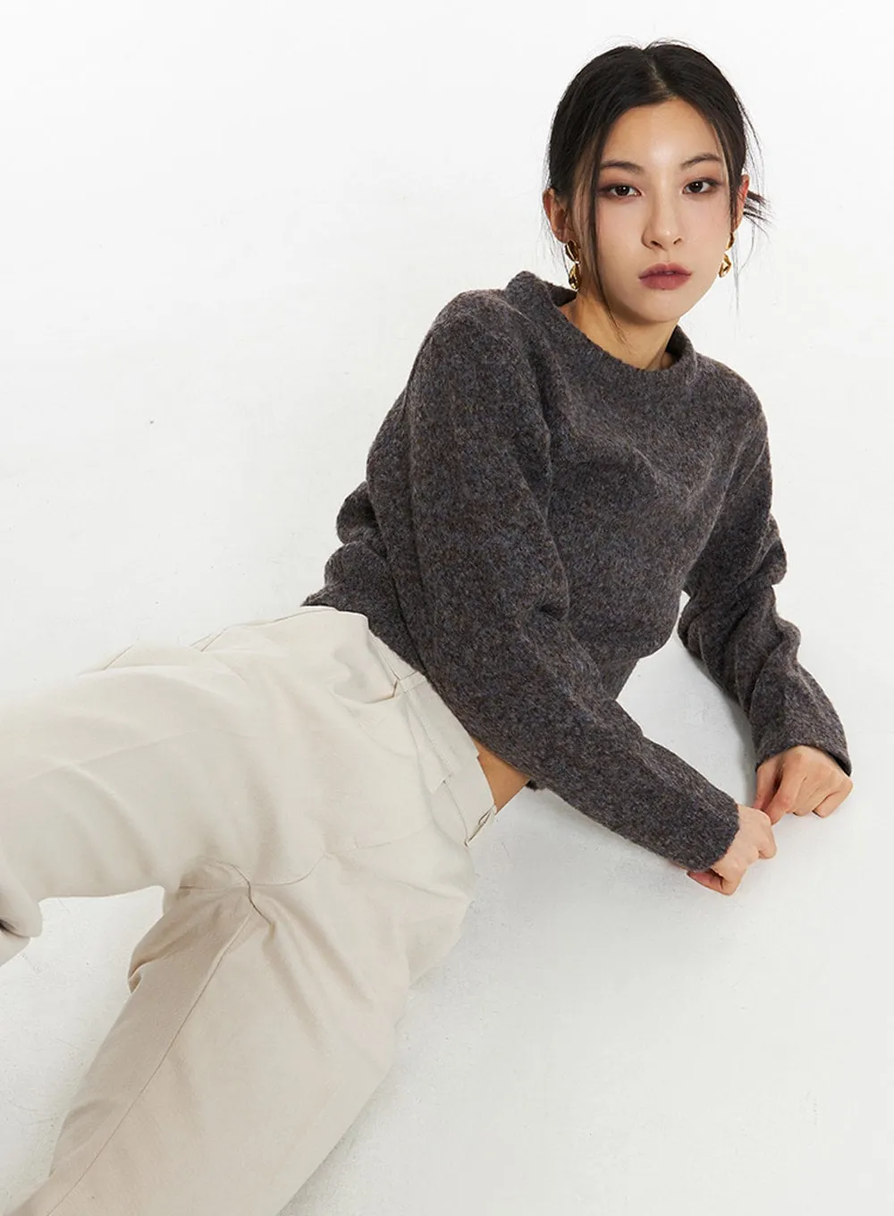 Crew Neck Knit Sweater IN308