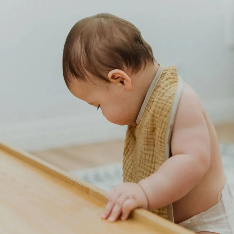 Crinkle Bibs