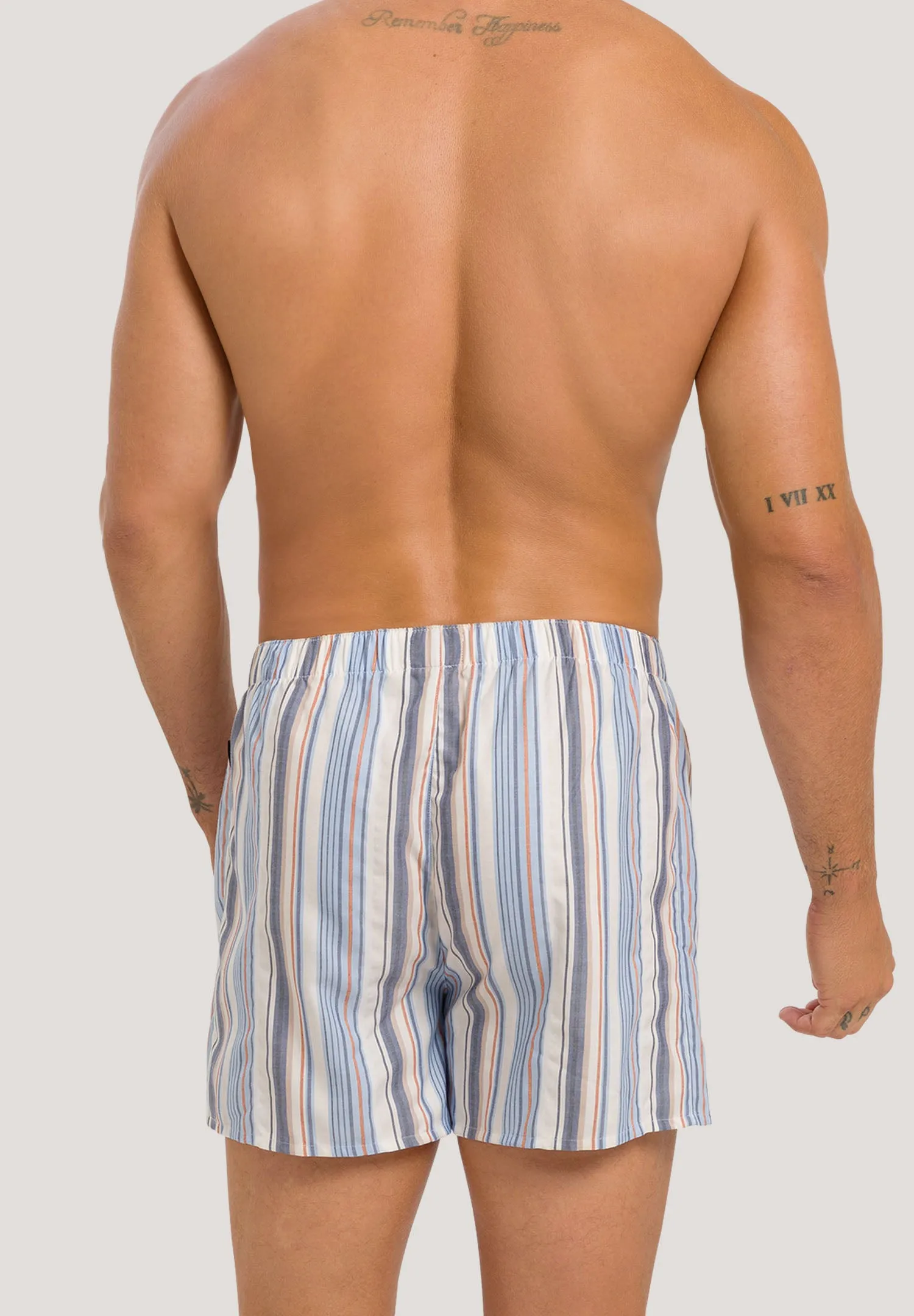 Fancy Woven Boxer | Canvas Stripe 74017-2875