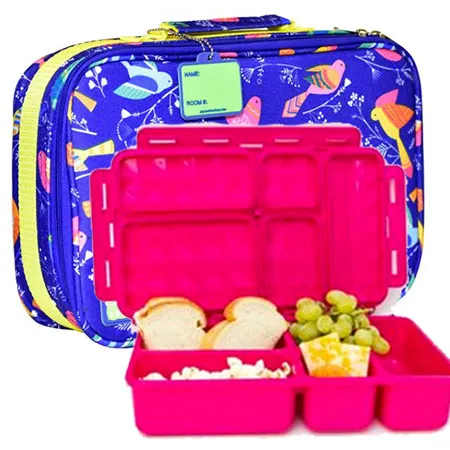 Go Green Bento Lunch Box Set