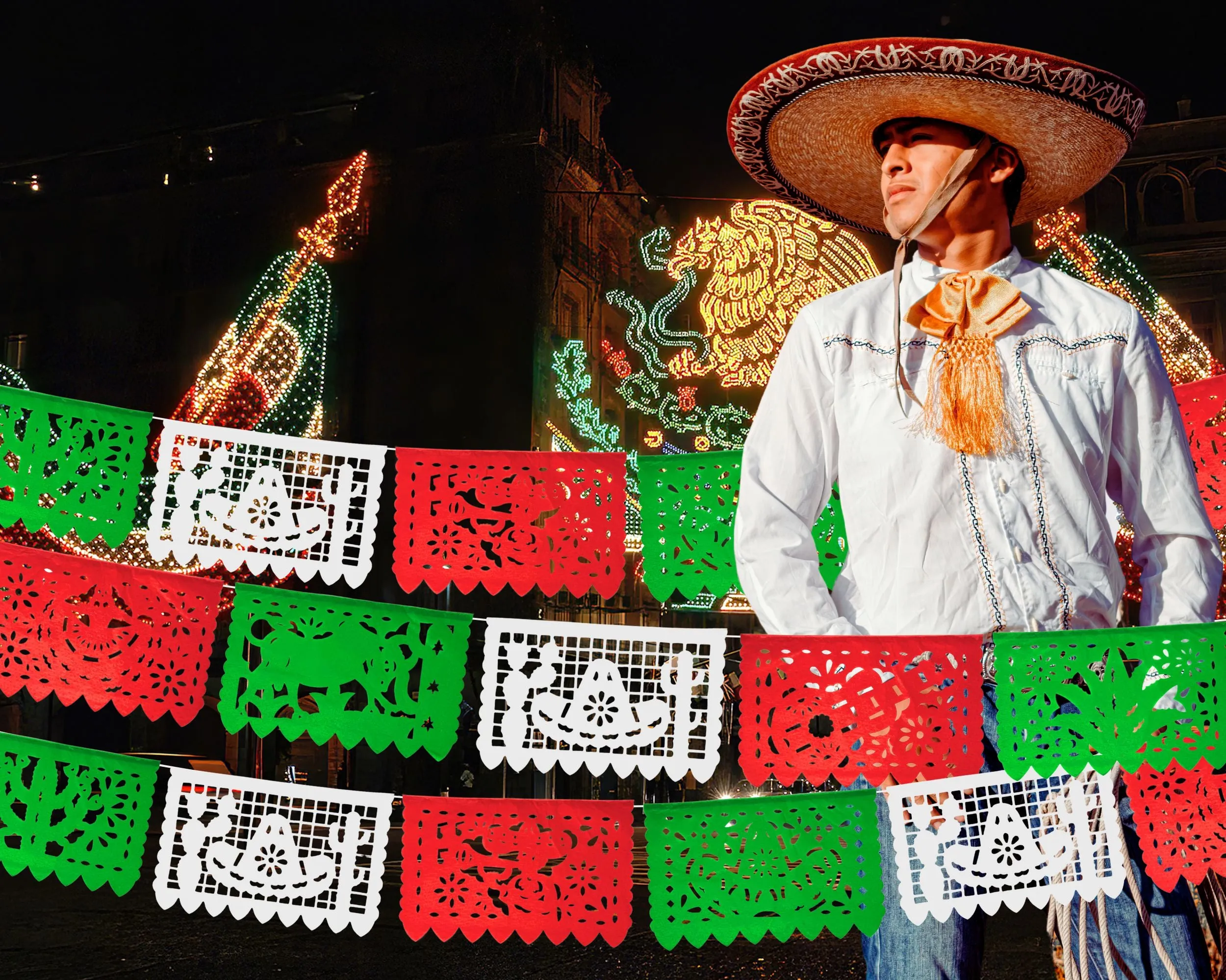 Papel Picado Mexican Independence Day Papel Picado Banner (5 Pack)