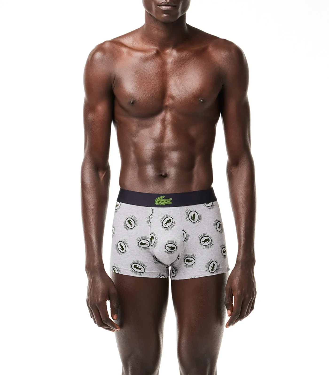 Stretch Jersey Print Trunks Silver Chine/Multicolor