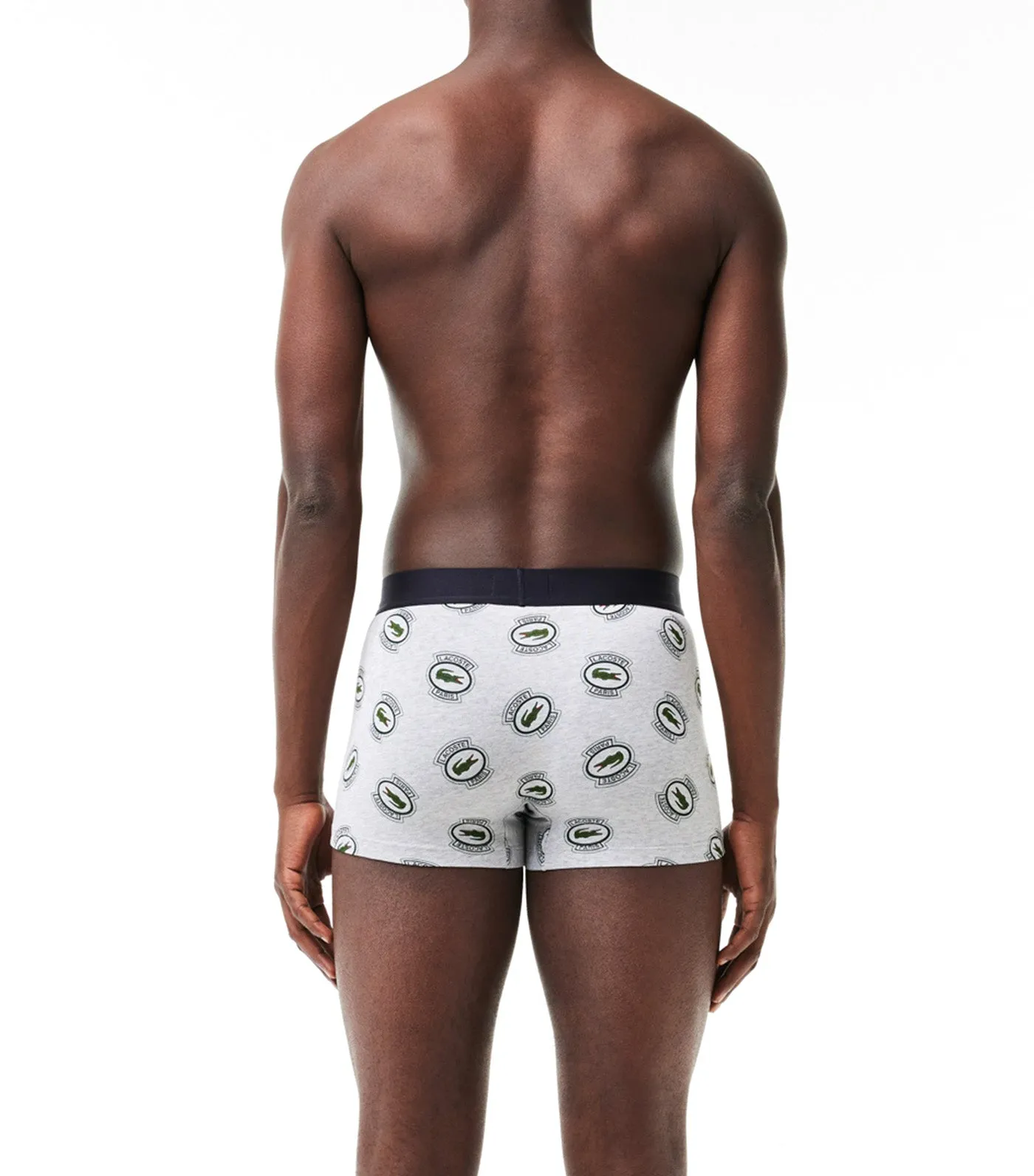 Stretch Jersey Print Trunks Silver Chine/Multicolor